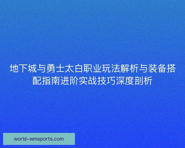 地下城与勇士太白职业玩法解析与装备搭配指南进阶实战技巧深度剖析