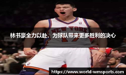 完美体育公司
