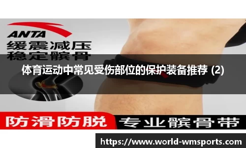 完美体育公司