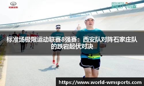 完美体育公司